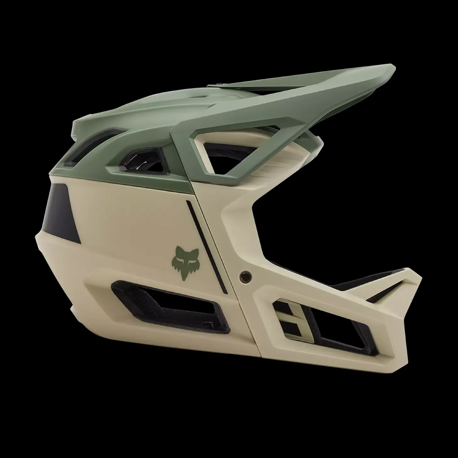 Proframe Helmet