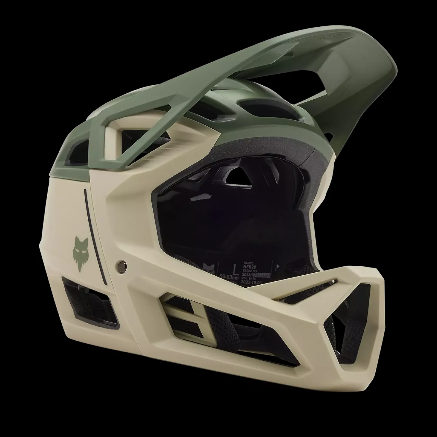 Proframe Helmet